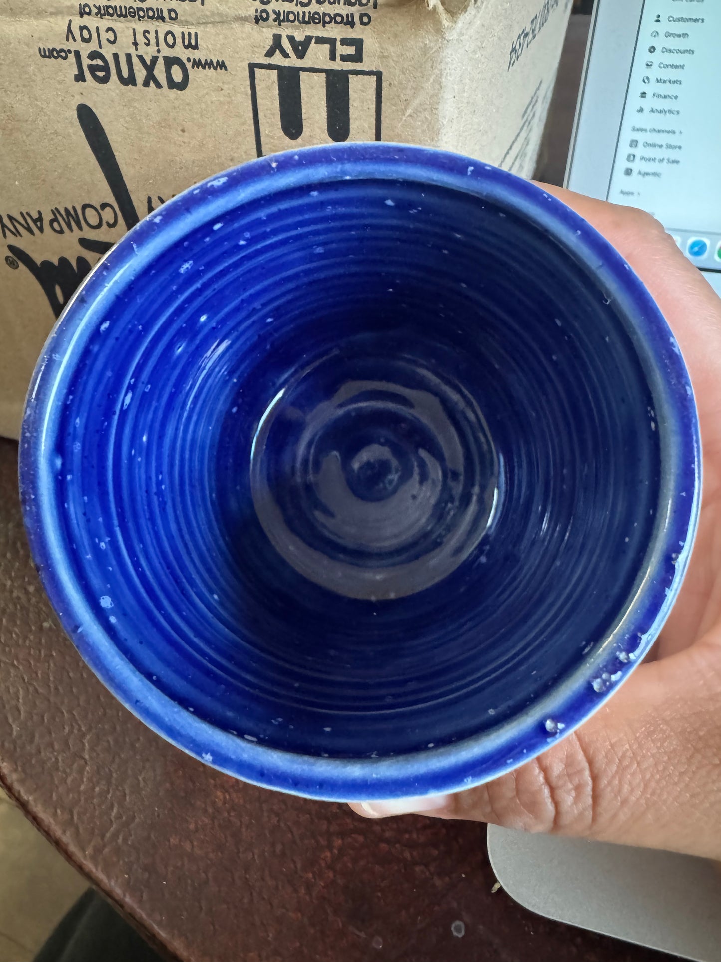 Birds of a Feather Cup (SECOND)