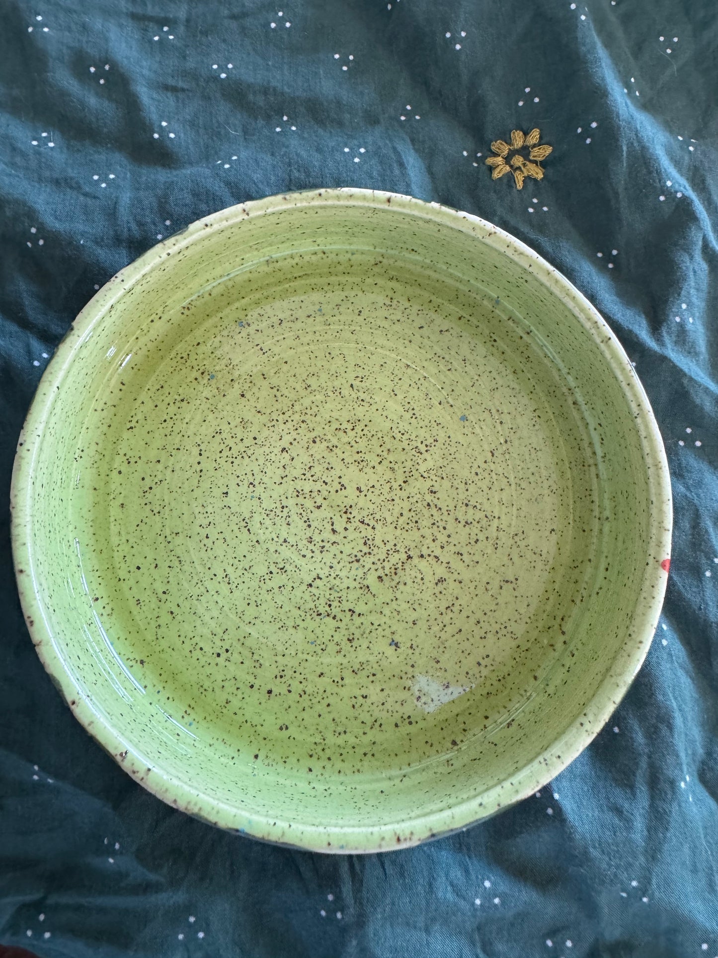 Small Snake Dog Bowl/Dish